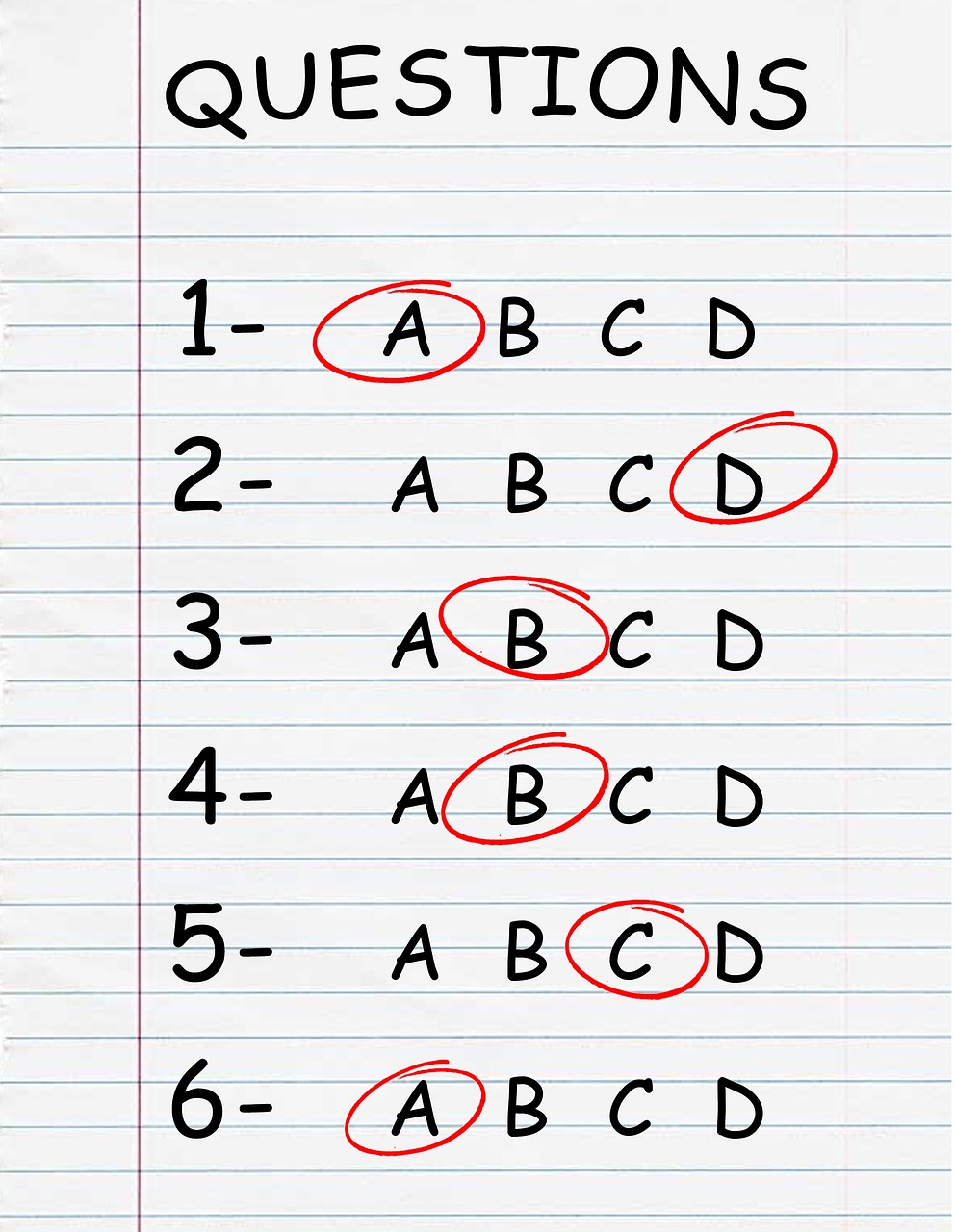 Interactive Quizzes